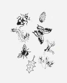 Outdoor Discovery Solar Print Kit - Image 3