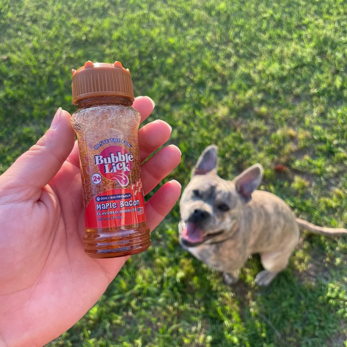 BubbleLick Maple Bacon Flavored Bubbles - Image 3