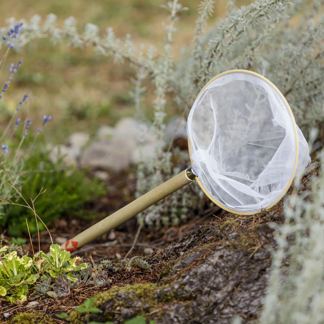Beetle & Bee Garden Butterfly Net - Image 4