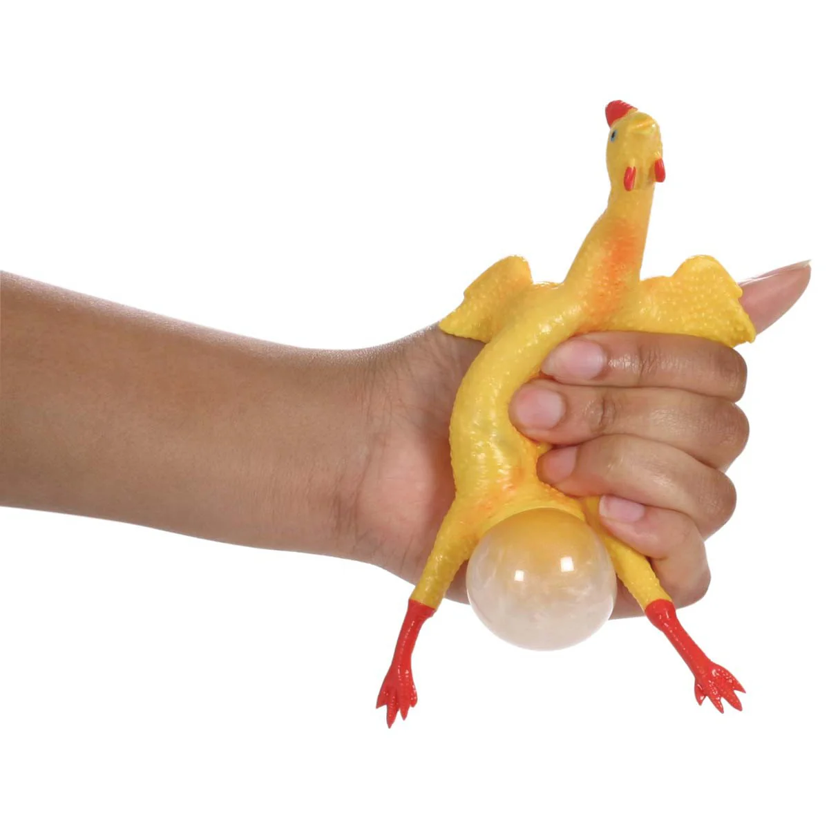 Farm Fresh Chicken & Egg - Image 2