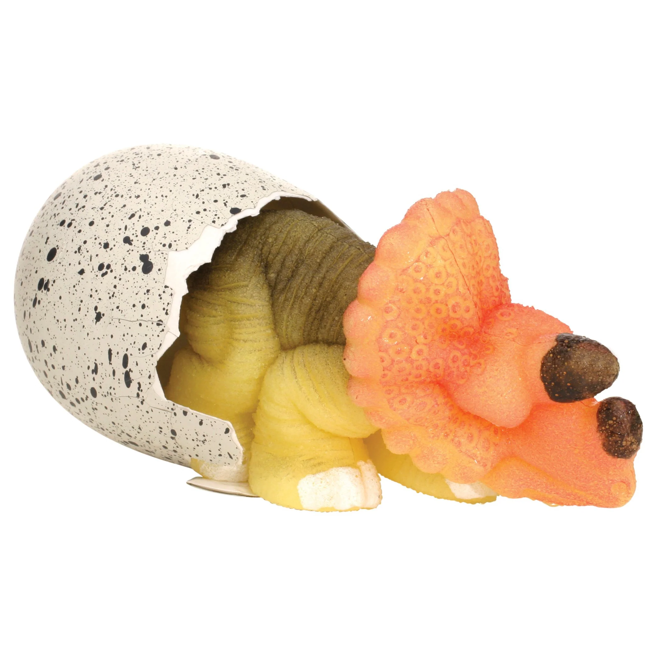 Toysmith Ginormous Hatchin' Grow Dino Egg - Image 6