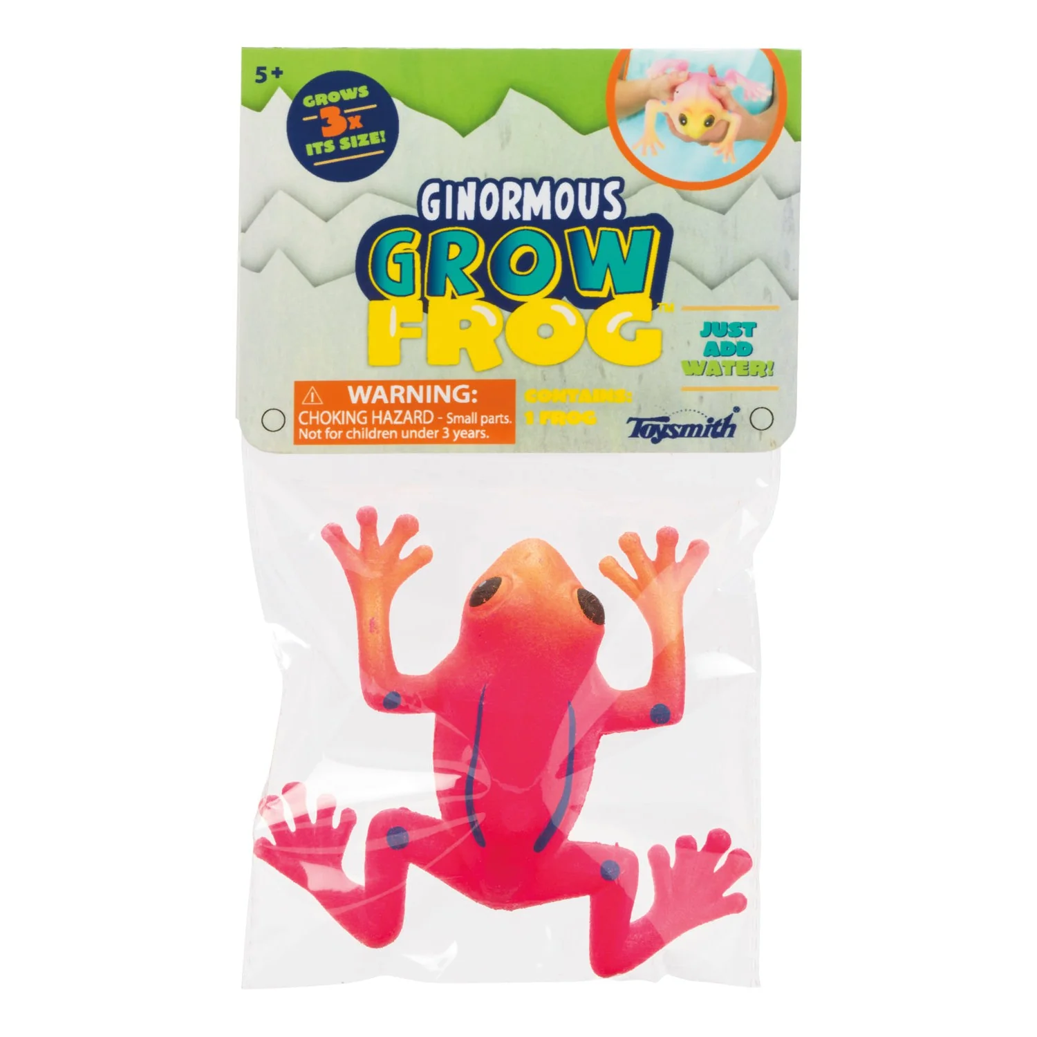 Toysmith Ginormous Grow Frog - Image 2