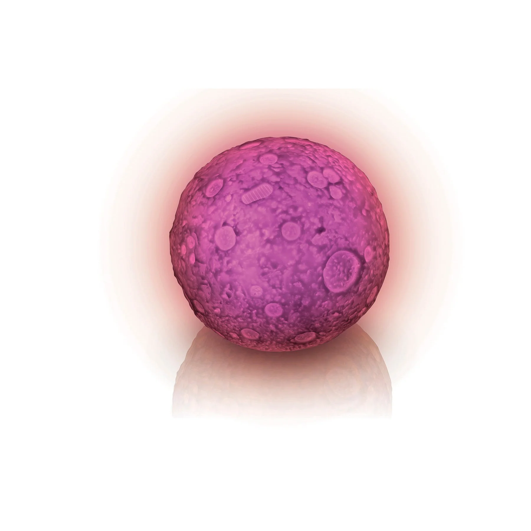 Astroverse Lunar Light Show - Image 8