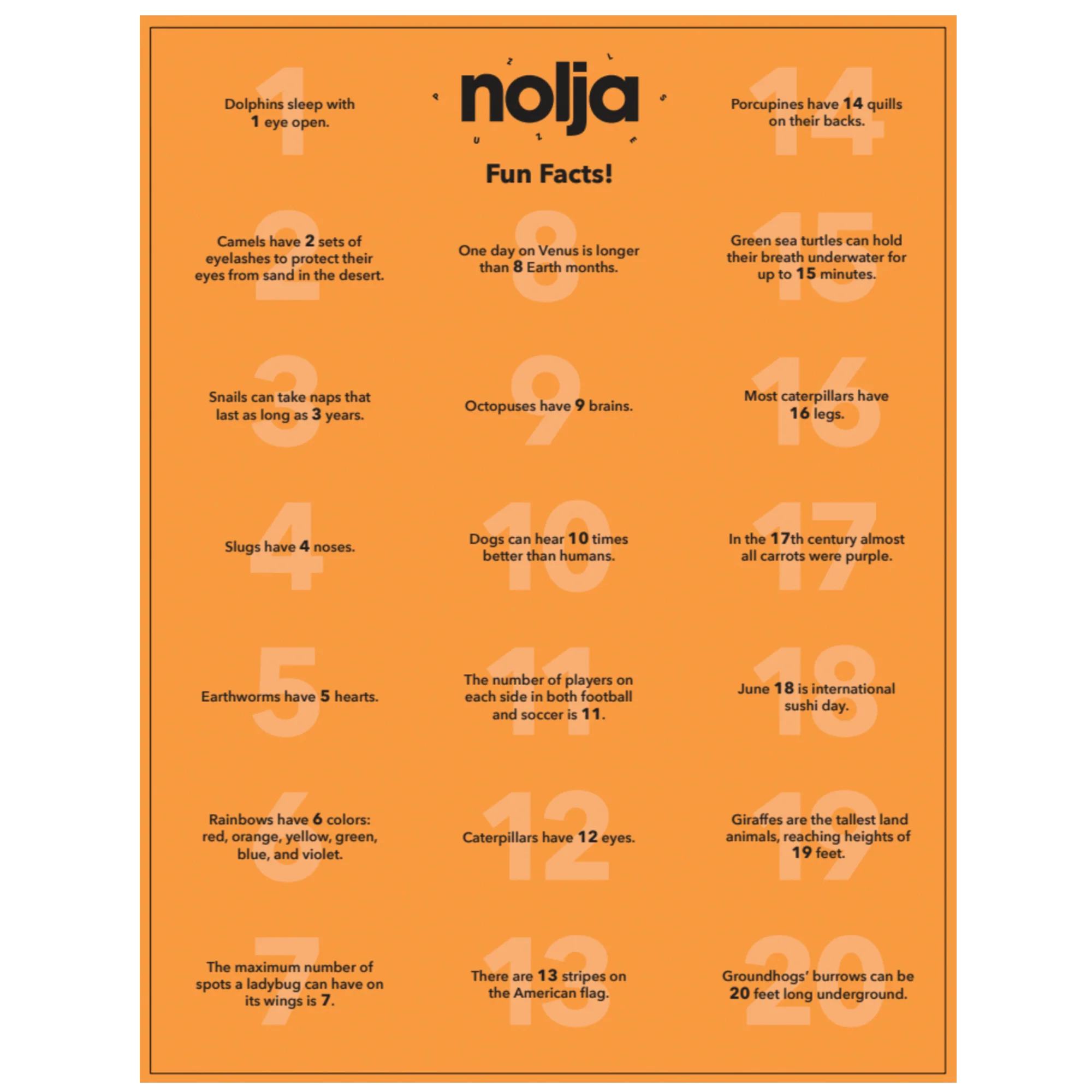 Nolja Easy As 1,2,3 36pc Jigsaw Puzzle - Image 3