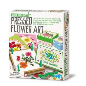 4M-Green Creativity Pressed Flower Art