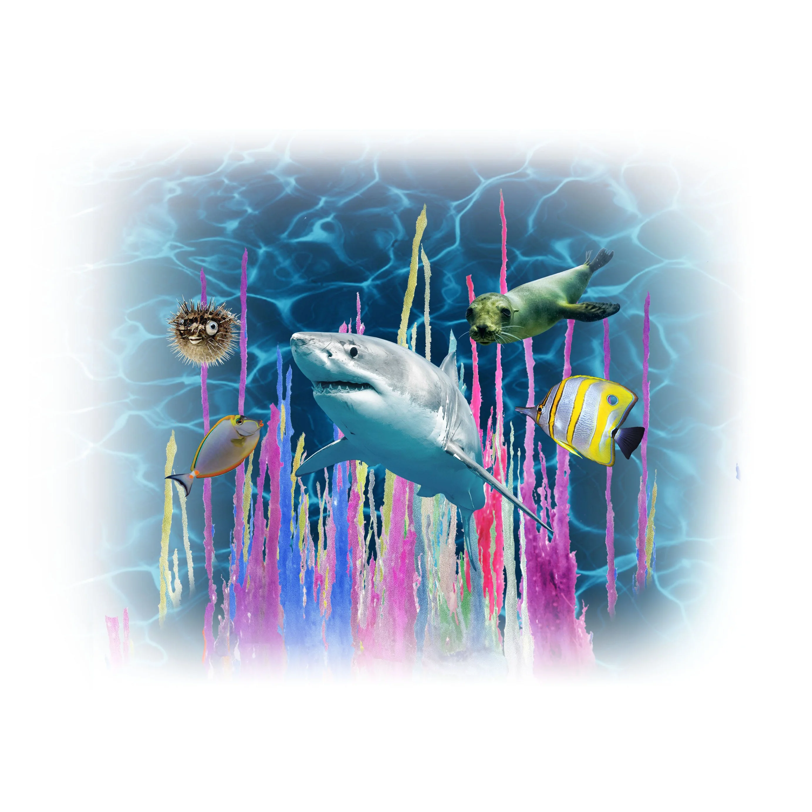 Smithsonian Magic Rocks Value Set - Image 3