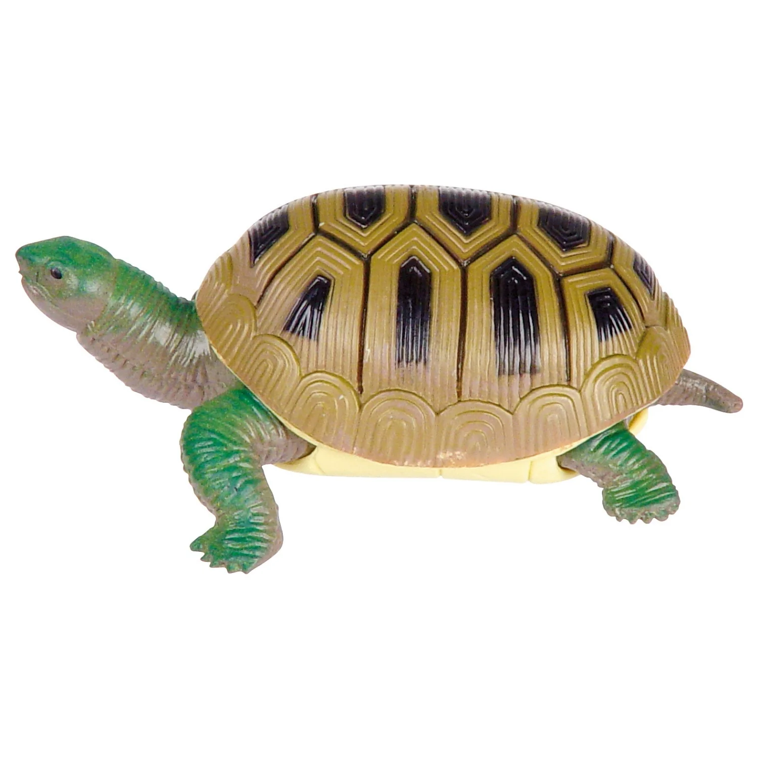 Toysmith Turtle Squishimals - Image 3
